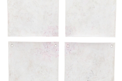 Inspired by Ohara Isumi-City for Canada